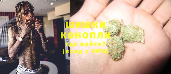 гашик Новозыбков