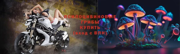 гашик Новозыбков