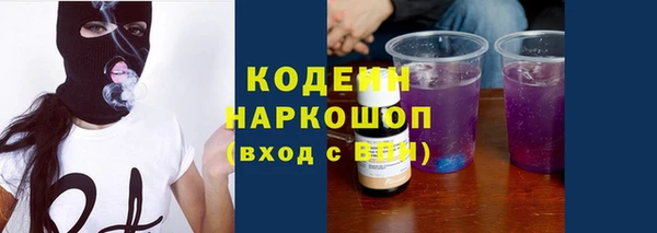 гашик Новозыбков