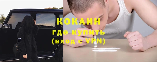 гашик Новозыбков