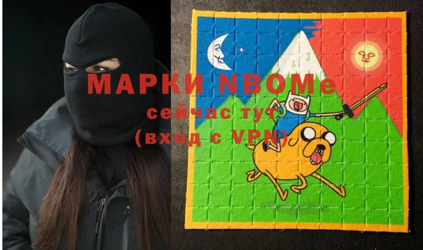 гашик Новозыбков