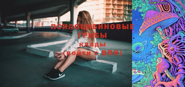 гашик Новозыбков