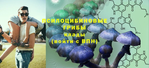 герыч Новокубанск