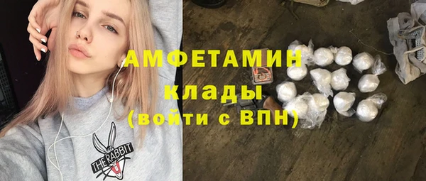 гашик Новозыбков