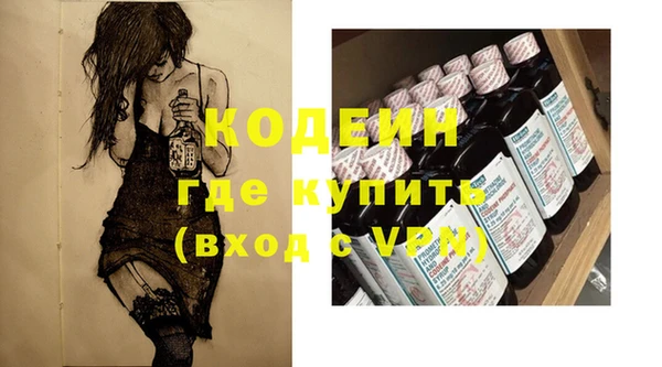 гашик Новозыбков