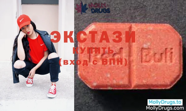 гашик Новозыбков