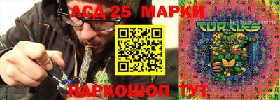 2c-b Гатчина