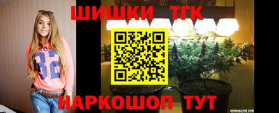 крисы Гагарин