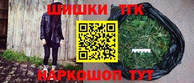 крисы Гагарин