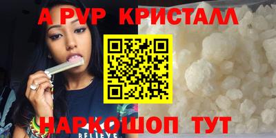 крисы Гагарин