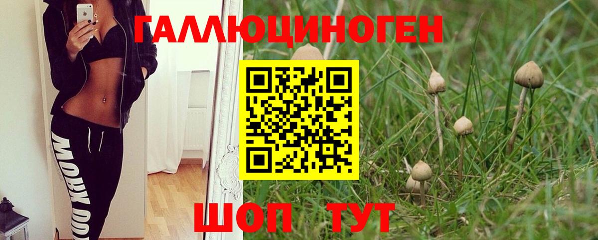 Псилоцибиновые грибы мицелий  Галлюциногенные грибы Psilocybe  Вход с VPN  Серпухов 