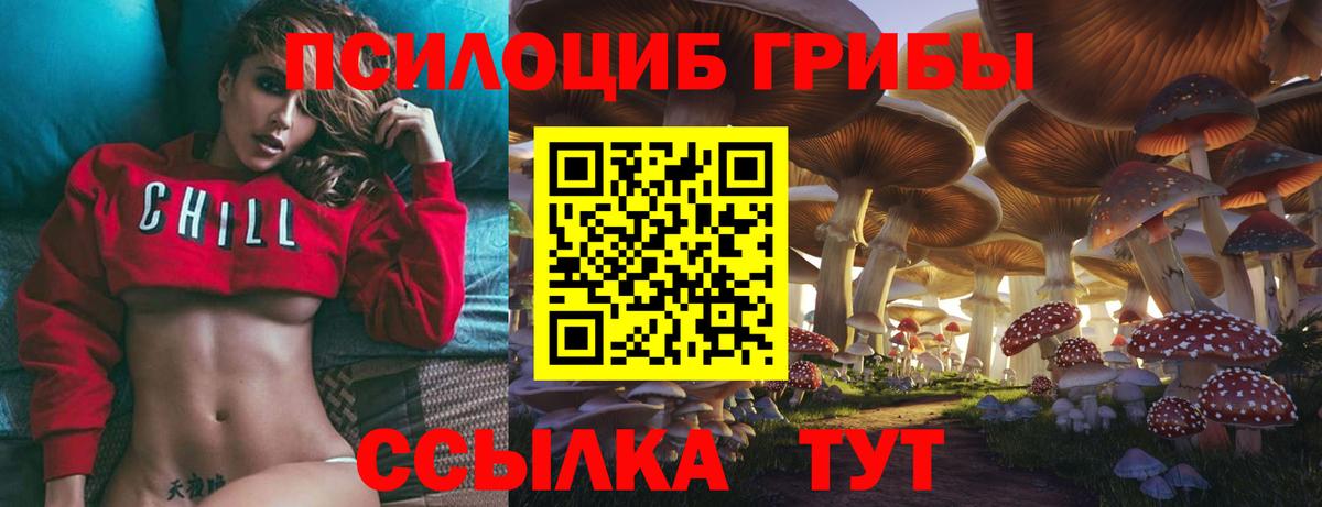 Псилоцибиновые грибы прущие грибы  Серпухов  Псилоцибиновые грибы ЛСД 